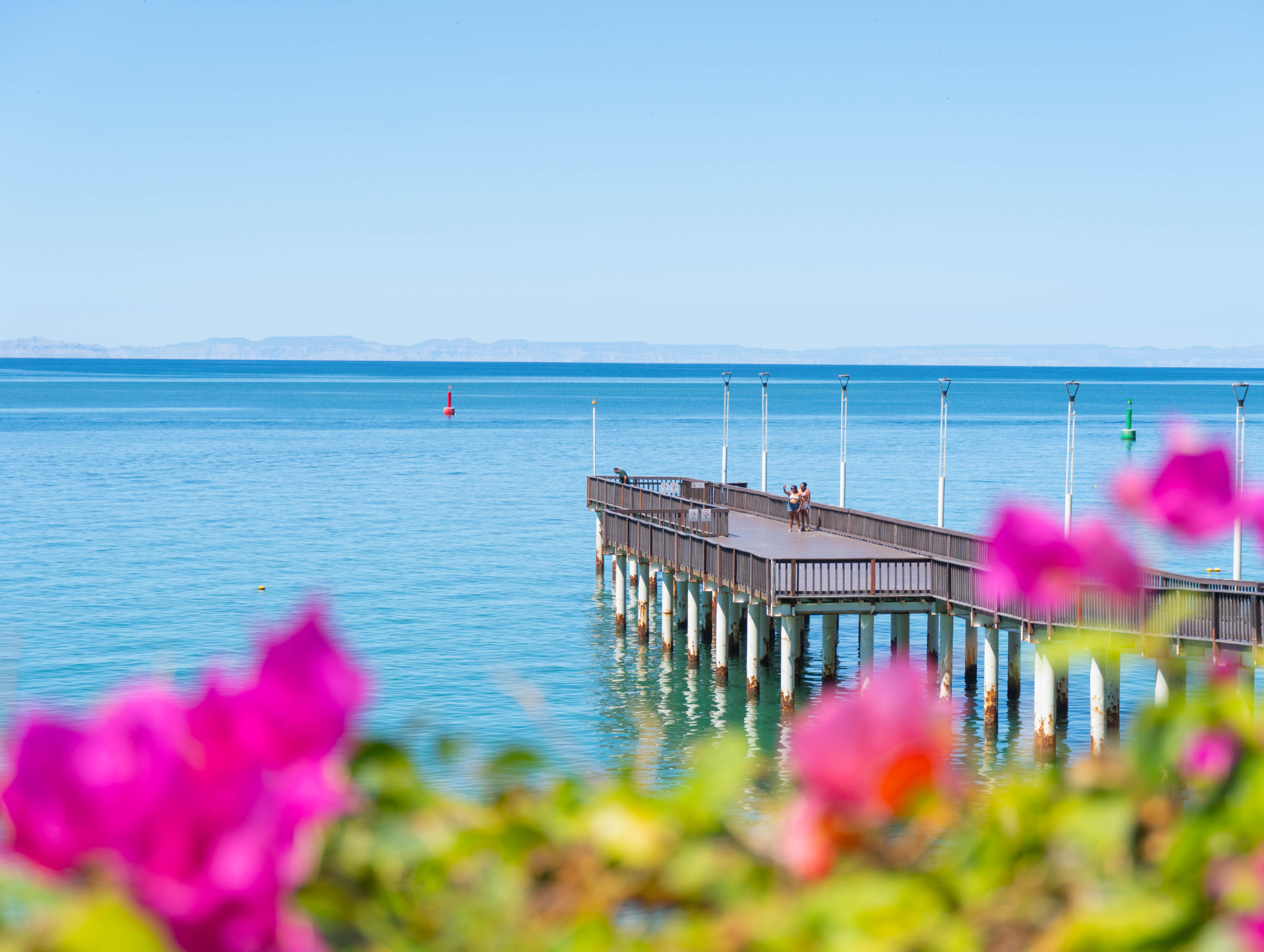Muelle de La Paz frente al mar con flores en primer plano