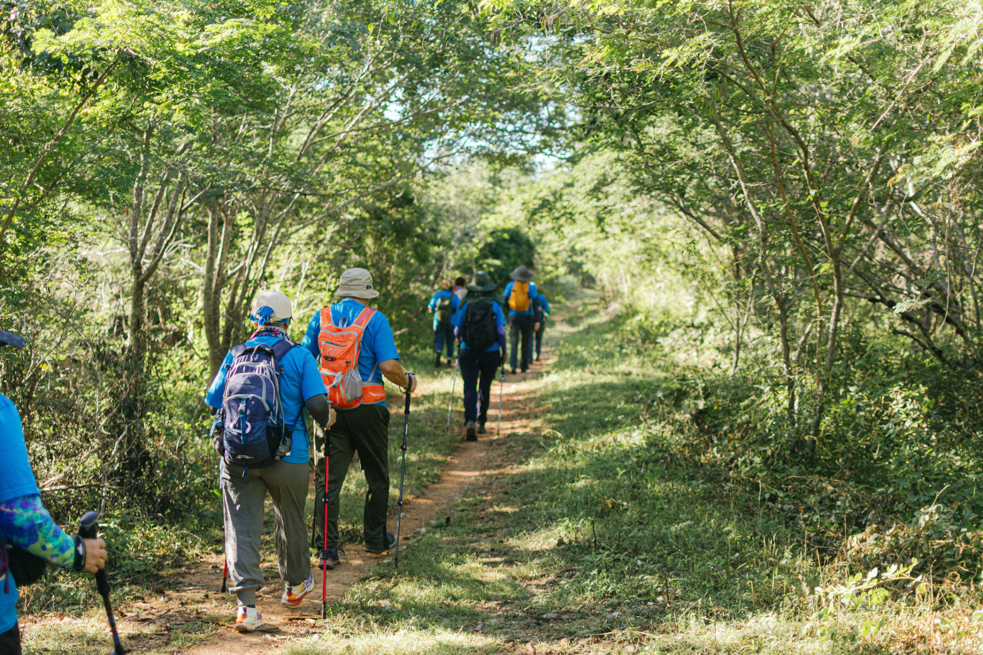 Grupo de caminantes del Camino del Mayab recorriendo un sendero de selva baja