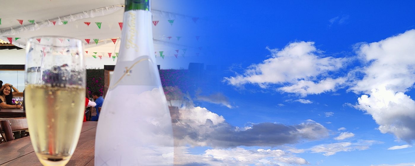 Ruta del Vino