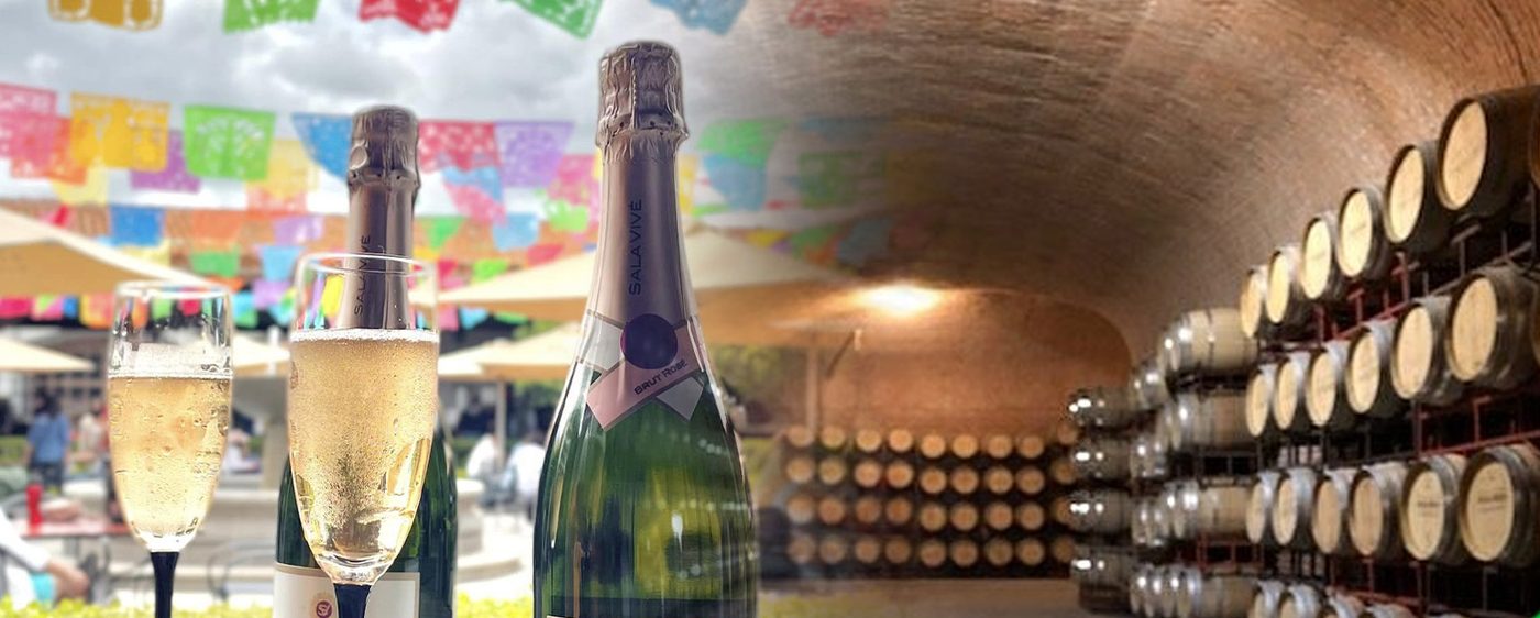 Ruta del Vino + Cava